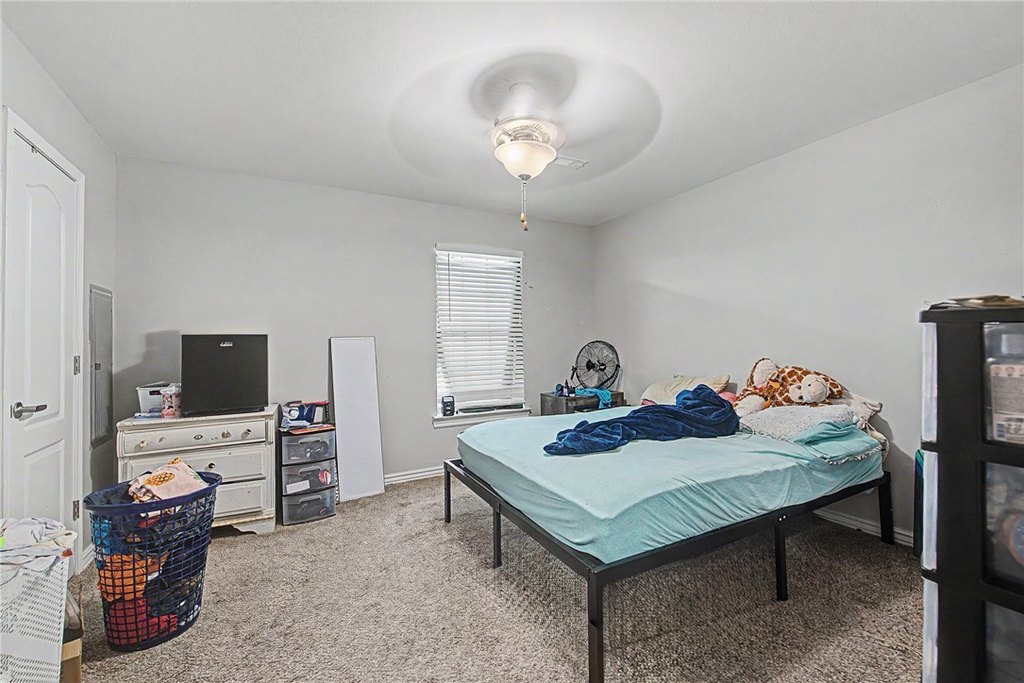 Picture 12