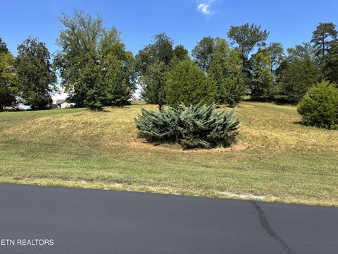 Lots & Acreage, Rockwood, TN