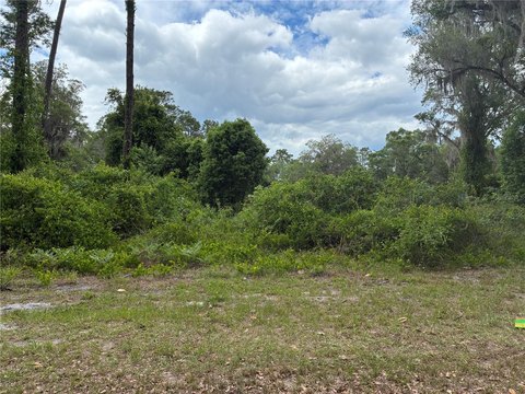 Land, OCKLAWAHA, FL