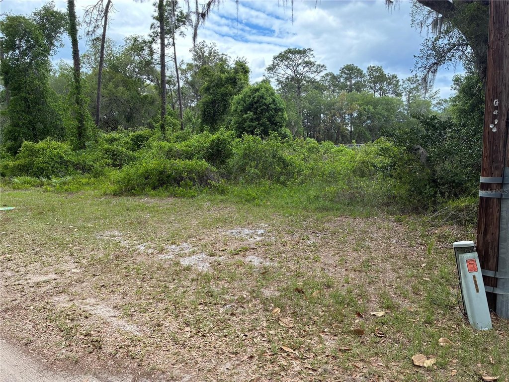 Picture 3