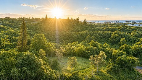 Residential Land Parcel With Water Approval