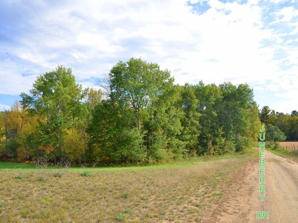 Picture 8