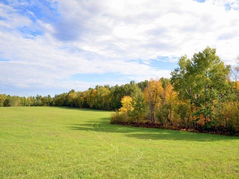 Land, Park Rapids, MN