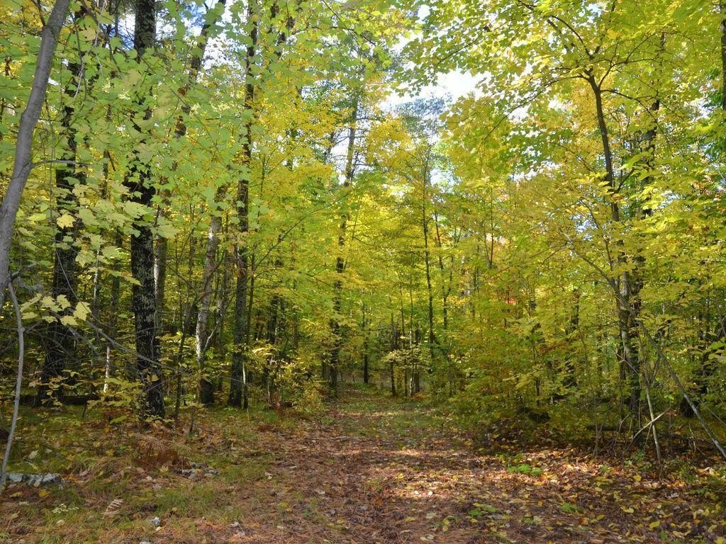 Picture 14