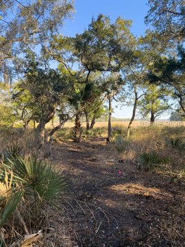 Waterfront Land in Seabrook, SC