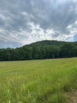Unrestricted Land Near Sparta, TN