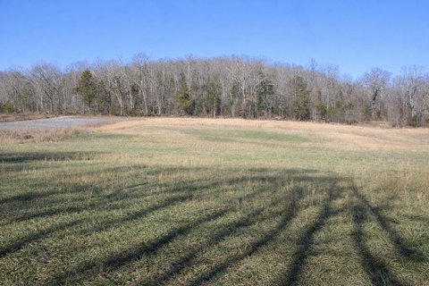 Unrestricted Land Near Sparta, TN