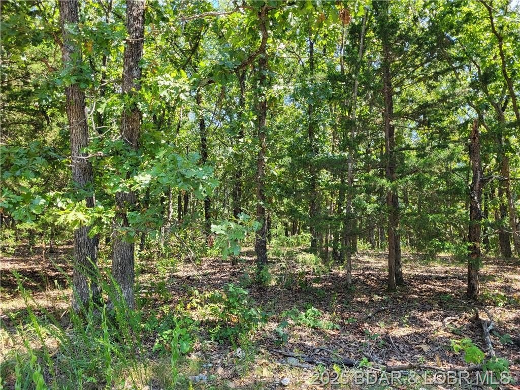 5-Acre Retreat in Edwards, MO