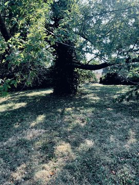 Land on Kearney Street