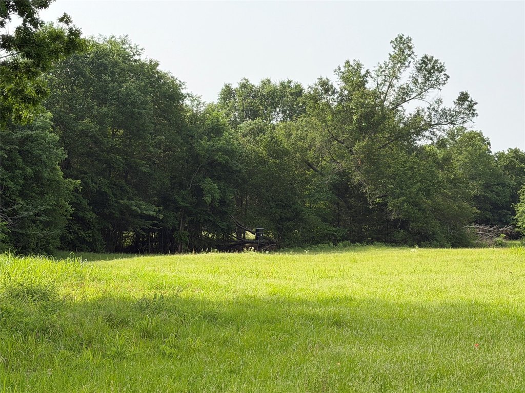 Picture 3
