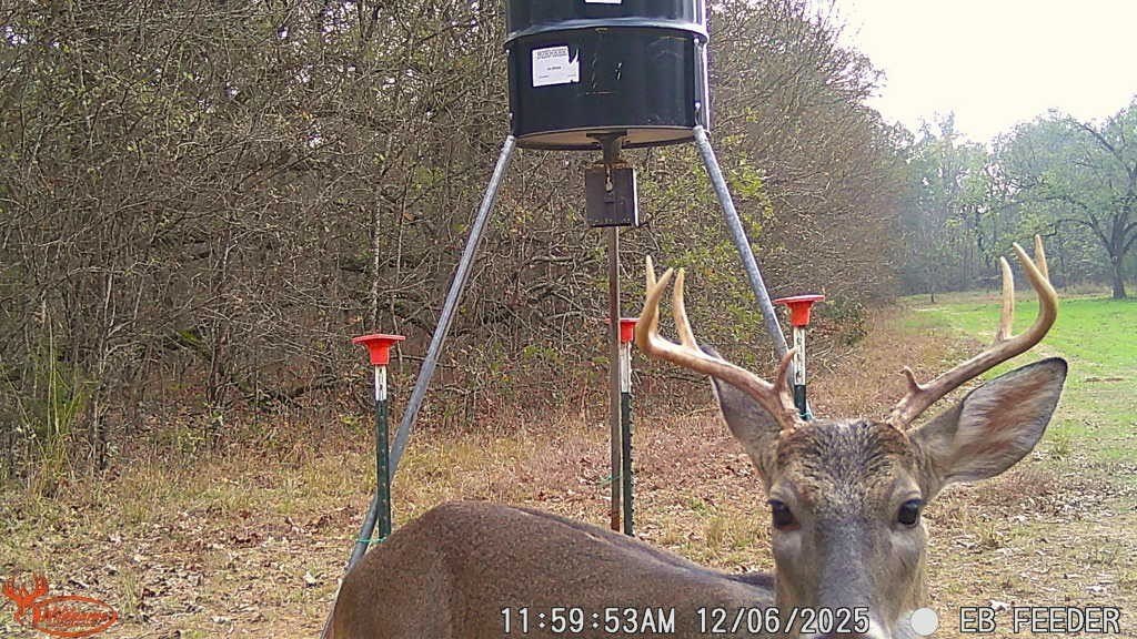 Picture 14