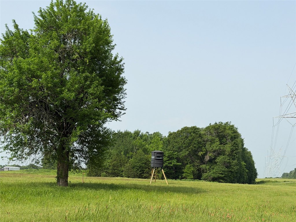 Picture 4