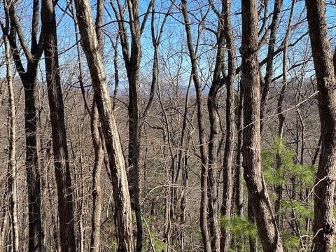 Land Near Downtown Blue Ridge