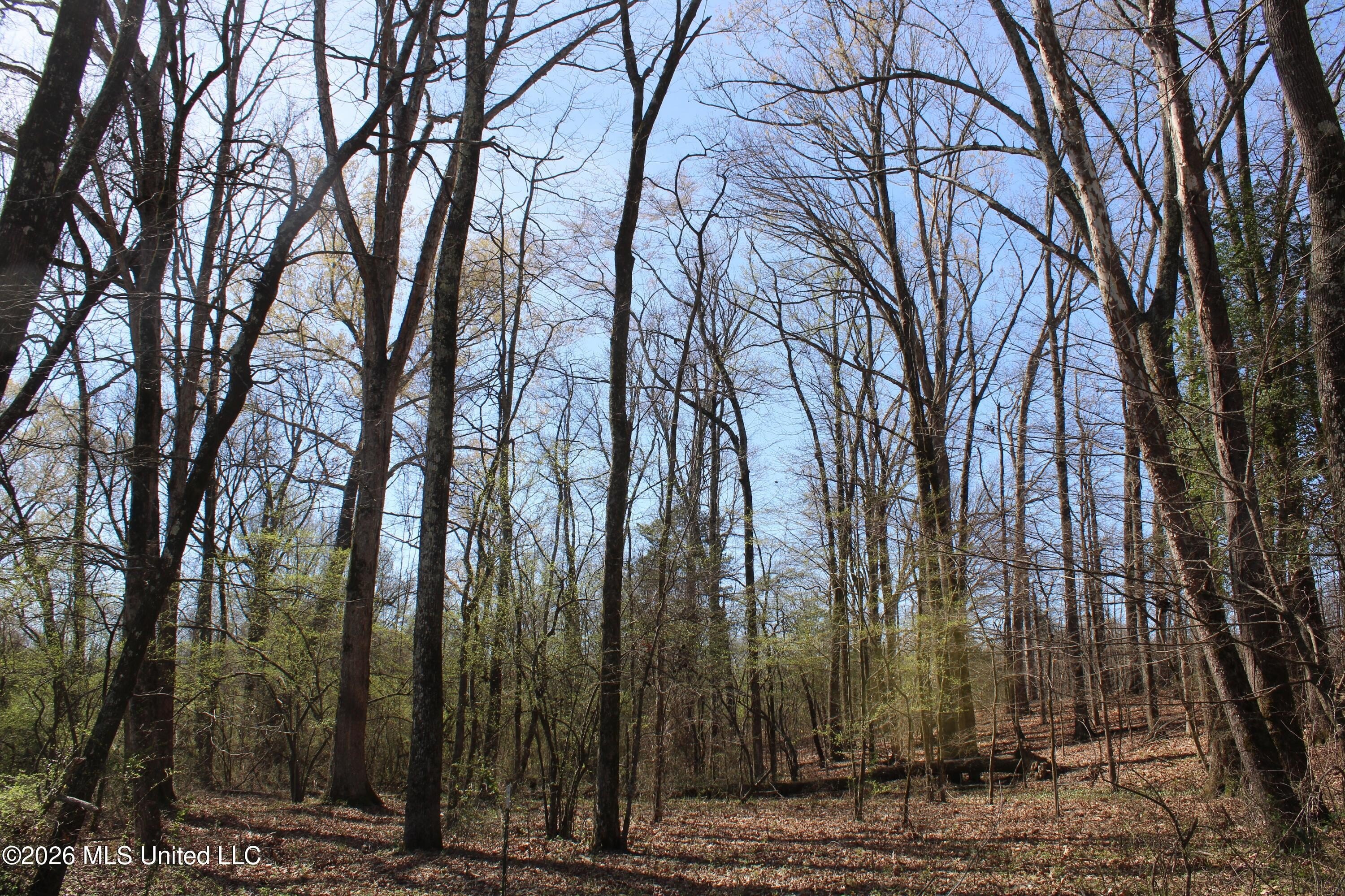 Residential Lot in Olive Branch