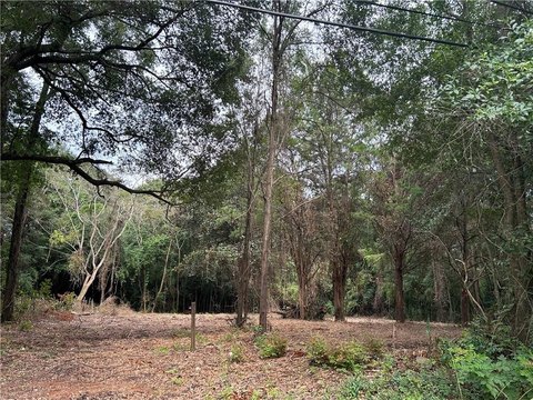 Residential Land Near South Alabama