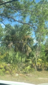 Lehigh Acres Residential Corner Lot
