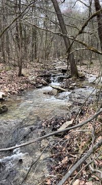 Shell Knob Lakefront Land