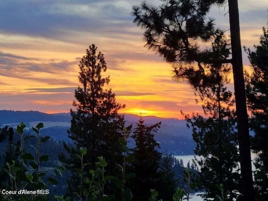 60 Acres Overlooking Lake Coeur d'Alene