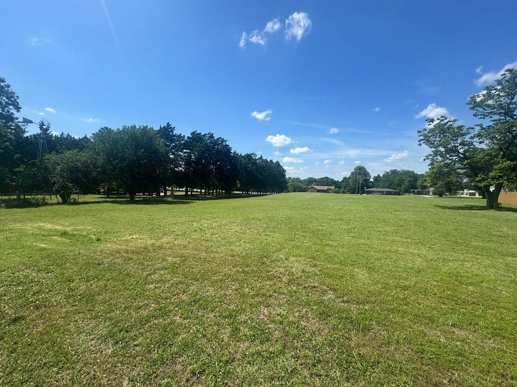 Picture 28
