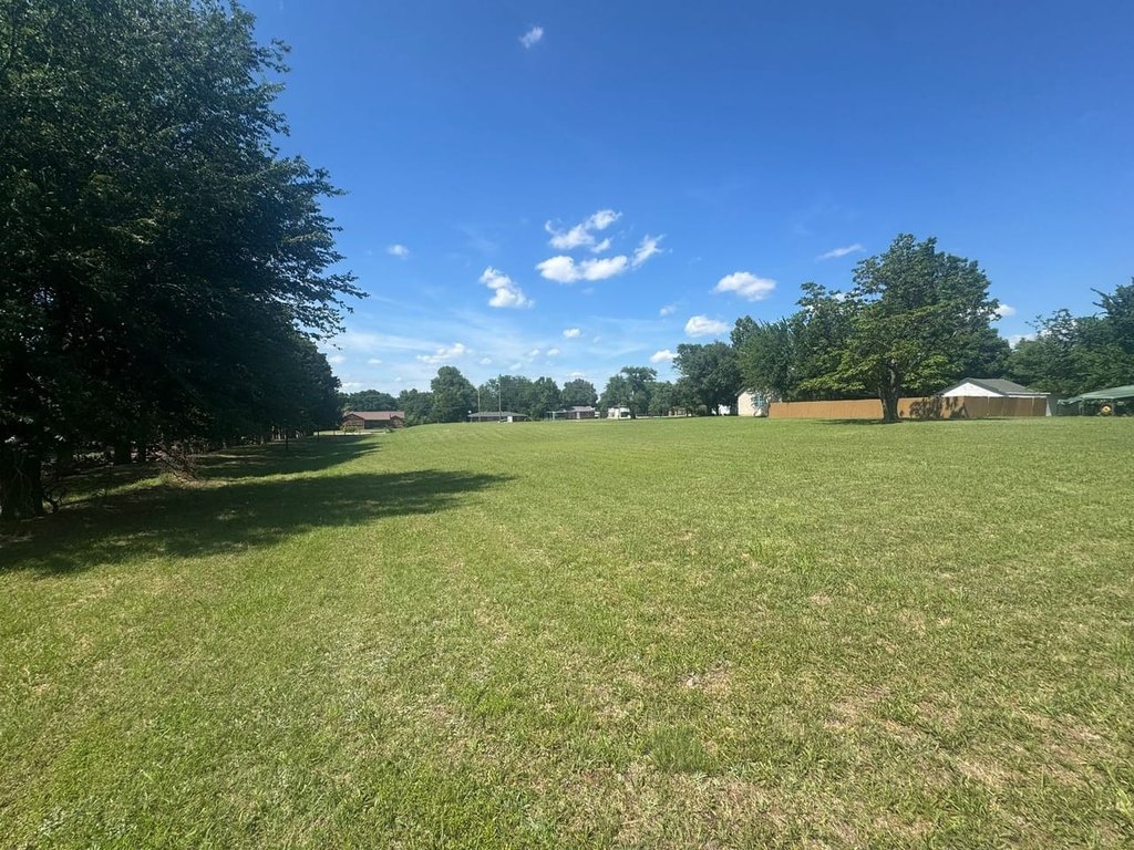 Picture 25