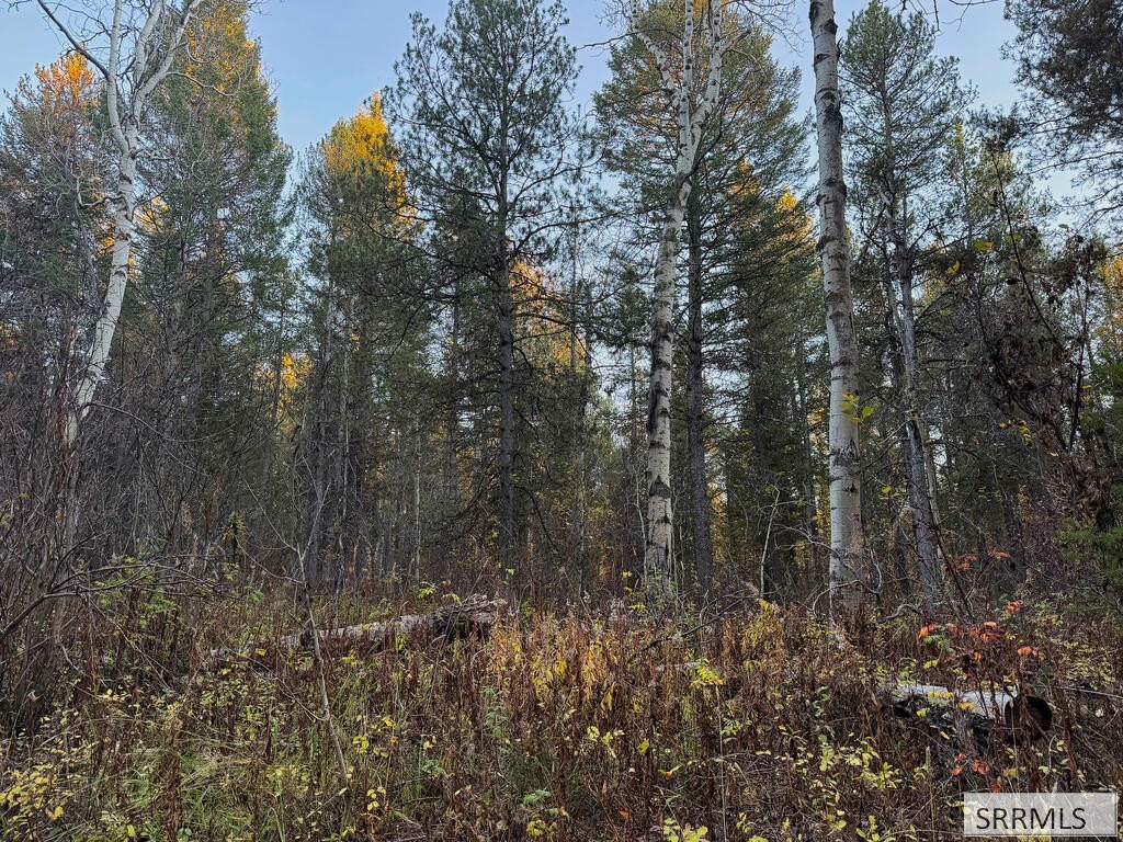 Picture 4