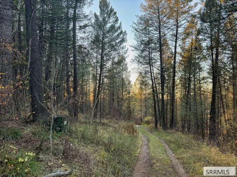 Land, Tetonia, ID