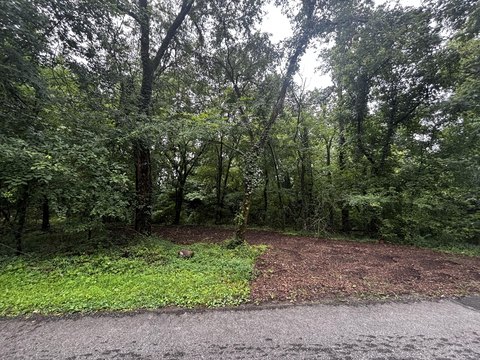 LAND - South Pittsburg, TN