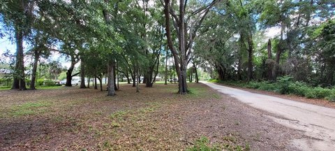 Chiefland, Florida Vacant Land