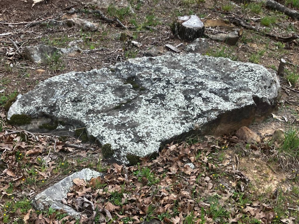 Picture 4