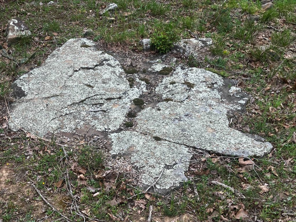 Picture 9