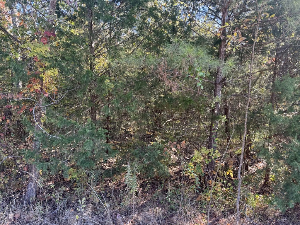 Picture 4