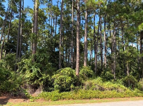 Land, Santa Rosa Beach, FL