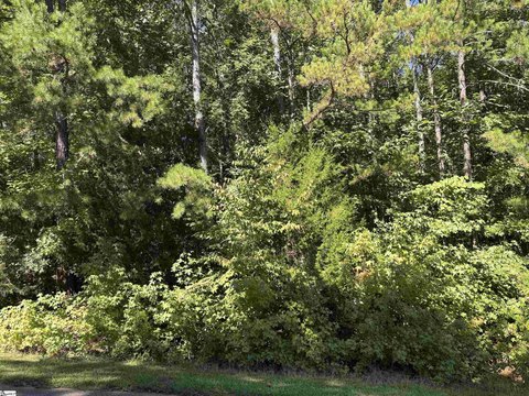 Lots/Land, Laurens, SC