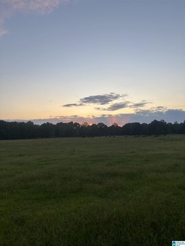 LAND/LOTS, WILSONVILLE, AL