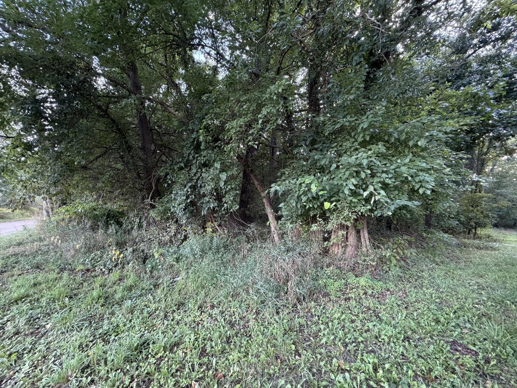 Picture 2