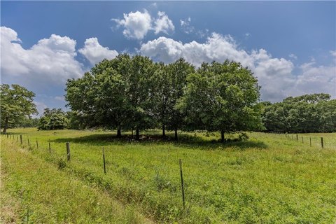 Land, NEW ULM, TX