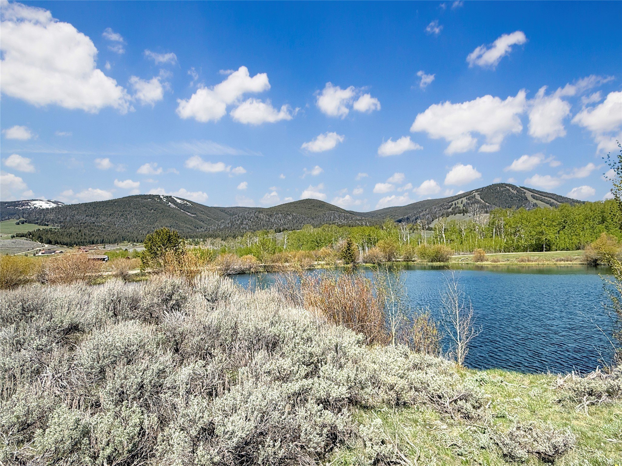 Land Near Polaris, Montana