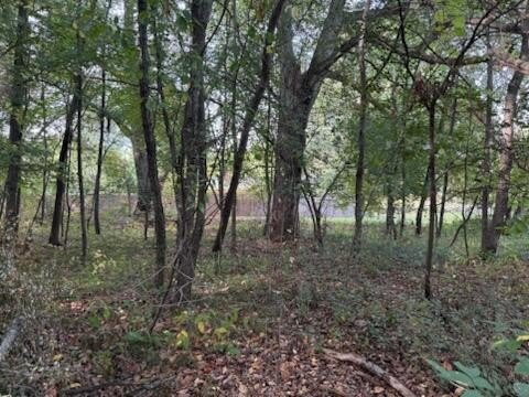 Land For Sale, Belding, MI