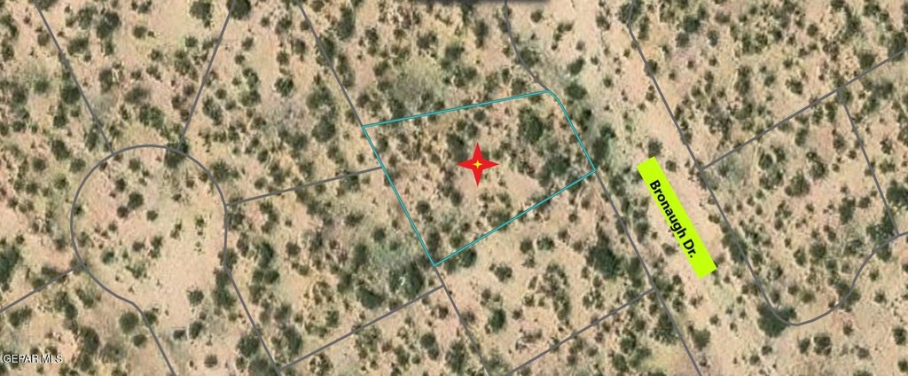 Picture 6