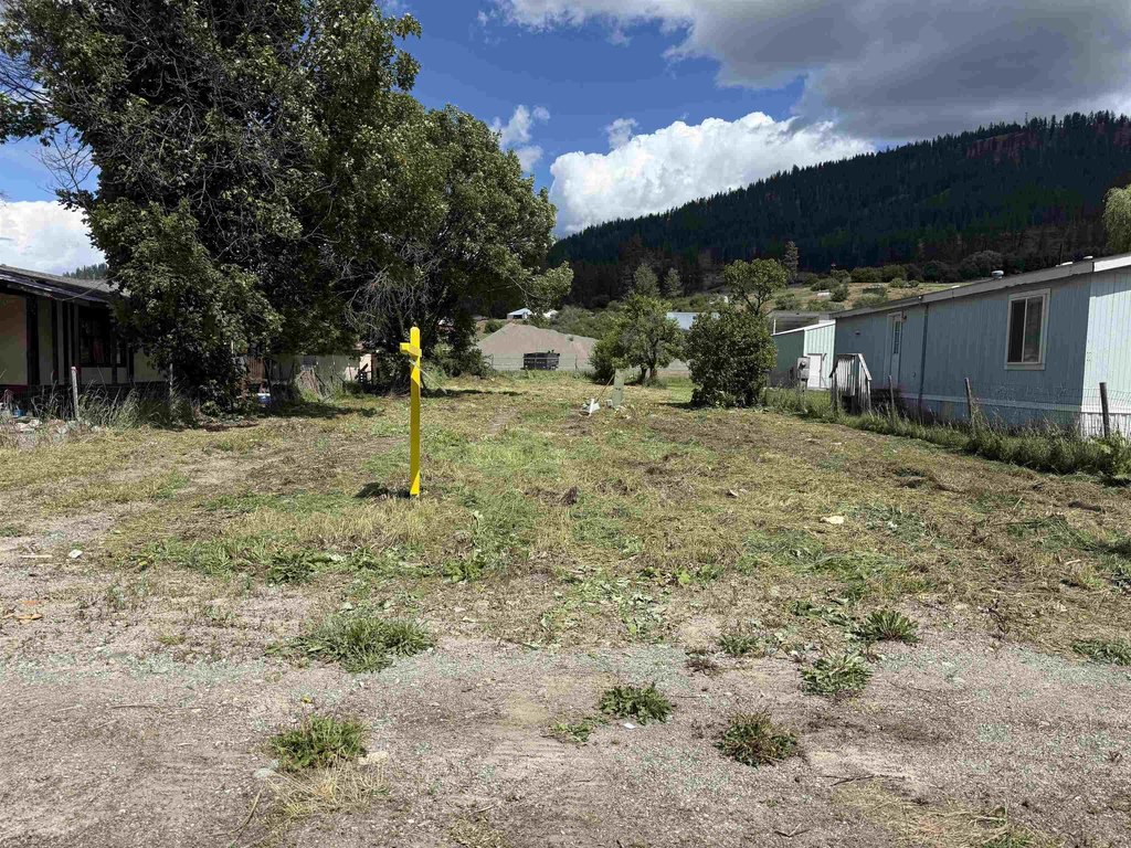 Picture 5