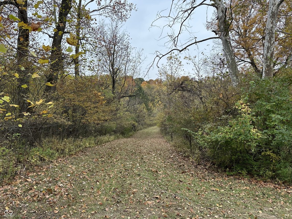 Picture 20