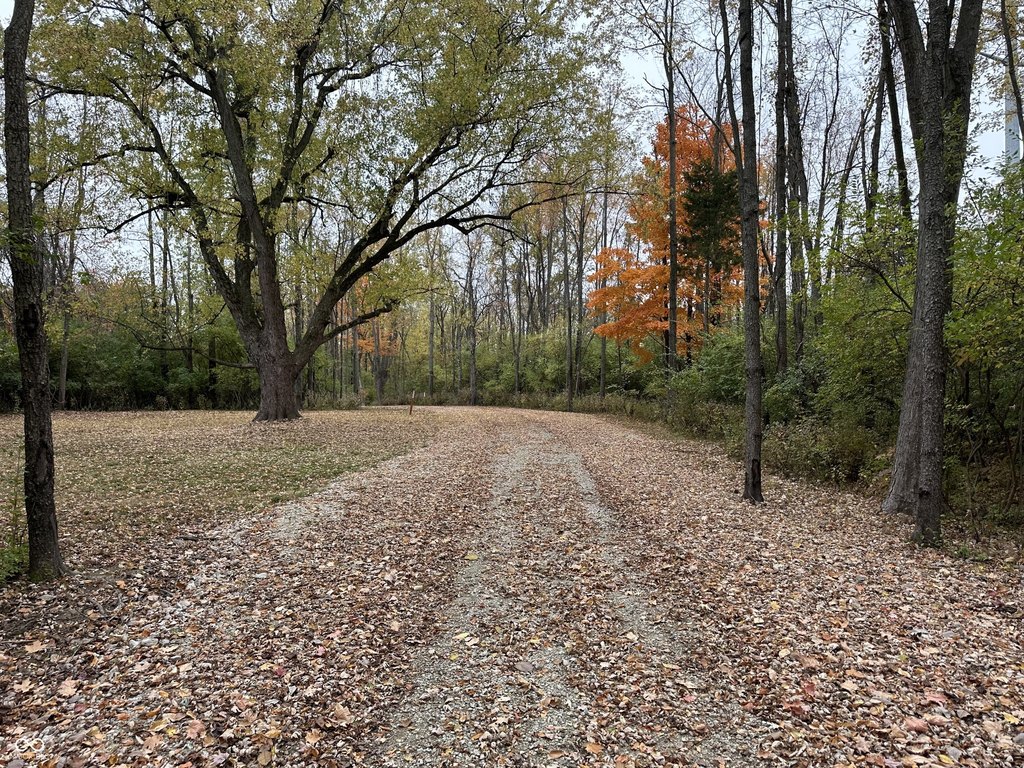 Picture 28