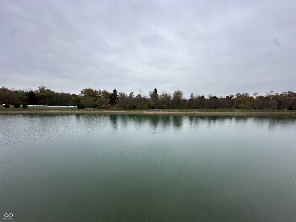 Picture 24