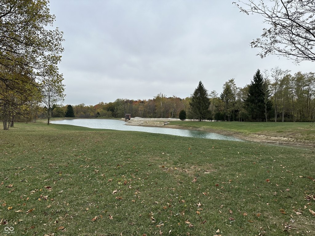 Picture 10