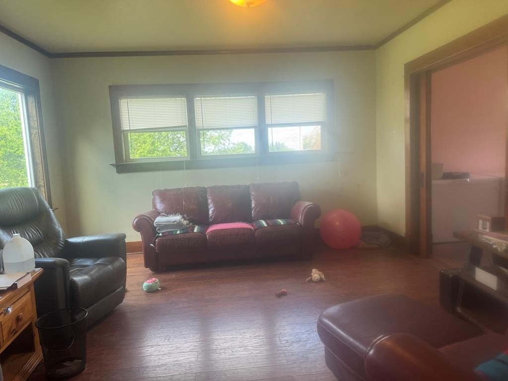 Picture 12