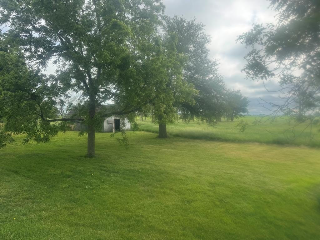 Picture 18