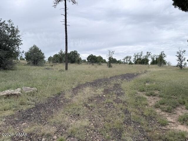 Picture 7