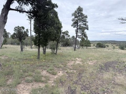 Land, Show Low, AZ