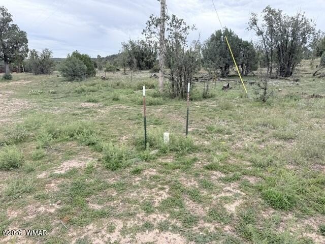 Picture 17