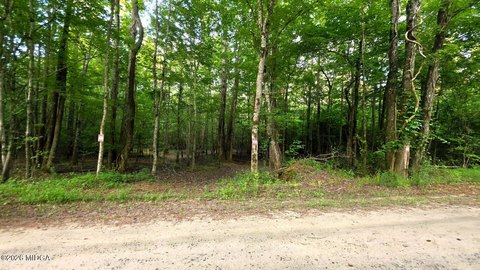 LAND - Forsyth, GA